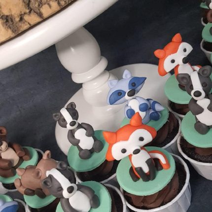 C 015 Hayvan Figürlü Cupcake