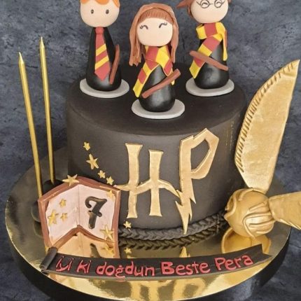 DG 016 Harry Potter